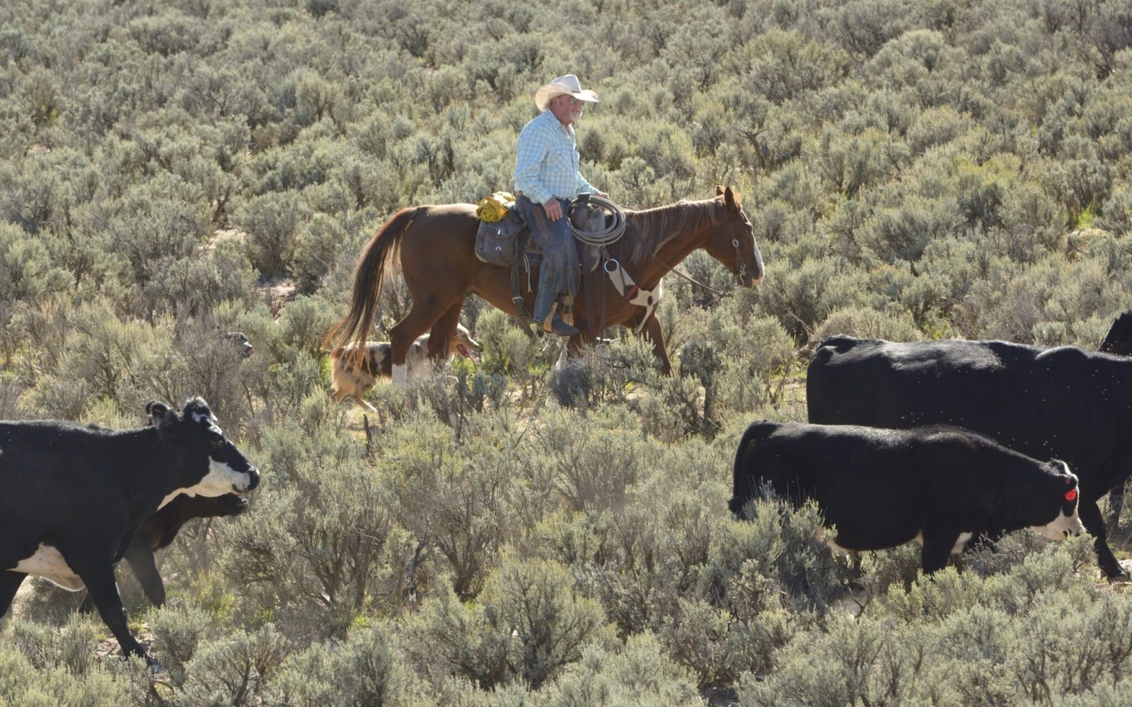 Mineral Rights as an Investment